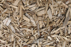 biomass boilers Gilmourton
